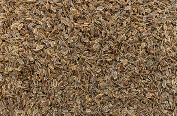 istock Dill seeds. Dill seeds background. 1324813438