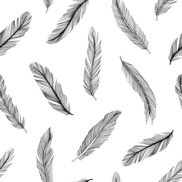 Hand drawn rustic ethnic decorative feathers. Hand drawn rustic ethnic decorative feathers. Vector seamless pattern. Tribal bird feathers ornament. Vector ink illustration isolated on white background. Ethnic boho style hand drawing peacock feather drawing stock illustrations