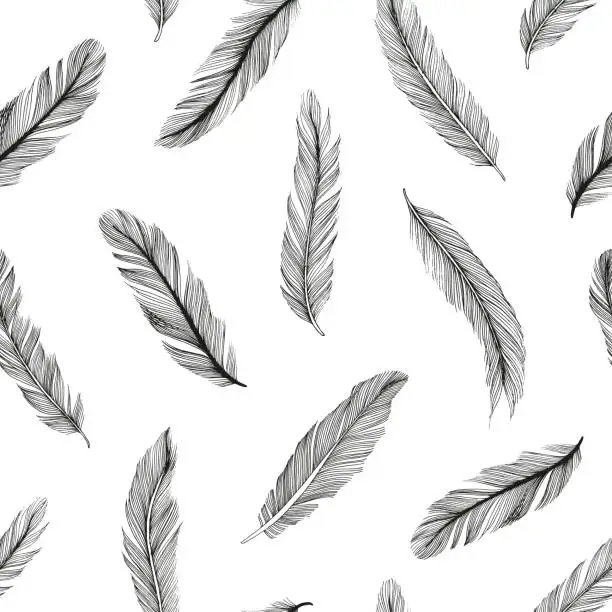 Vector illustration of Hand drawn rustic ethnic decorative feathers.