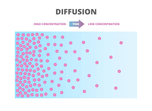 Diffusion – movement of molecules and atoms from an area of higher or high concentration to an area of lower or low concentration. Vector illustration. Vector scientific scheme of diffusion. Movement of molecules, ions, and atoms from an area of higher or high concentration to an area of lower or low concentration. Red particles, blue background. The icon is isolated on a white background. physics illustrations stock illustrations