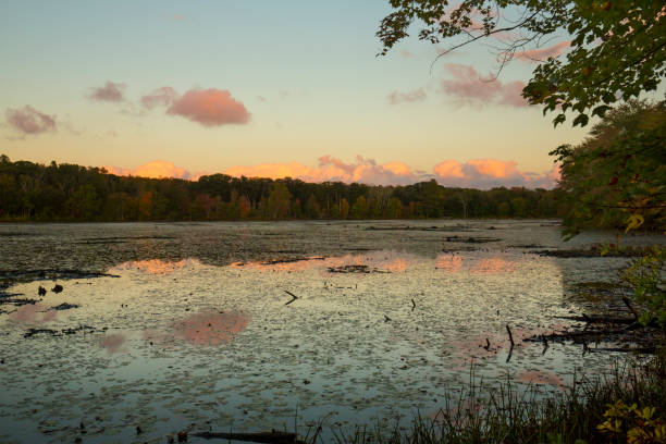 istock Twilight on a pond in Goodwin State Forest, Connecticut. 1324818440