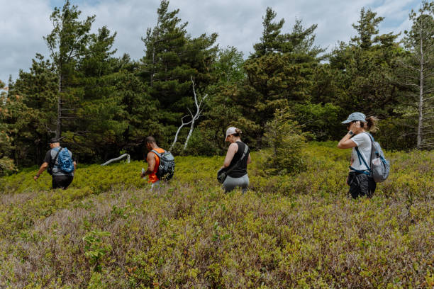 istock Hiking in Group of Friends 1324819577