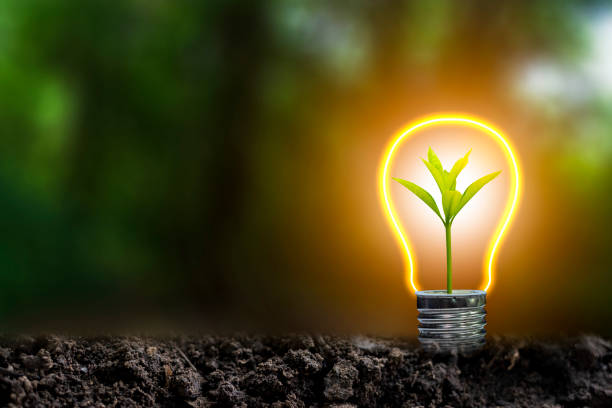 istock 3D illustration Renewable energy concept Earth Day or environmental protection Protect the forests that grow on the ground and help save the planet. 1324822708