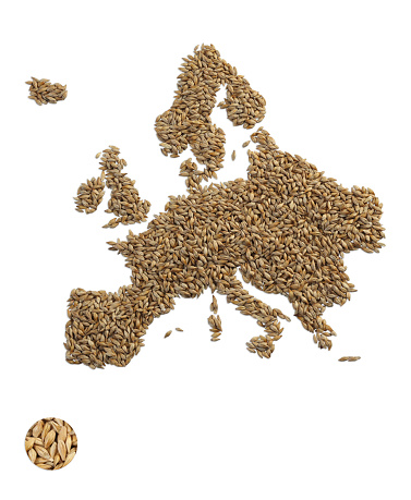 Europe map made of wheat grains isolated on white with clipping path