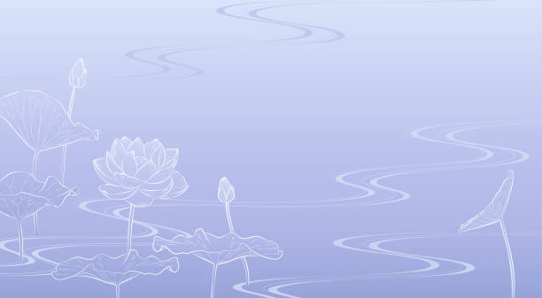 ilustraciones, imágenes clip art, dibujos animados e iconos de stock de ilustración de fondo de la flor de loto y la corriente de agua (lavanda azul) - water lily lotus water lily