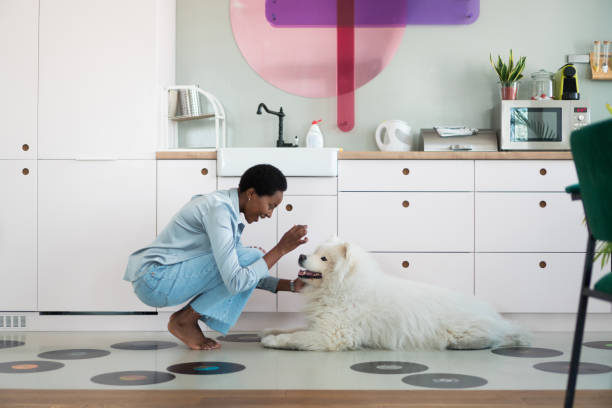 szczęśliwa samotna kobieta i jej pies - color image animal dog animal hair zdjęcia i obrazy z banku zdjęć