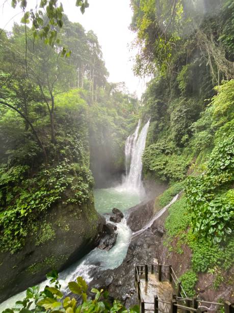 istock Aling-Aling waterfall Bali Indonesia 1324839717