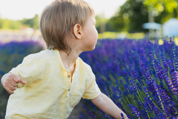 istock Cute baby boy playing in the lavender field 1324839823