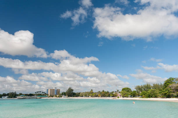 istock Beach in Barbados. Beautiful Blue Sky and Water 1324840532