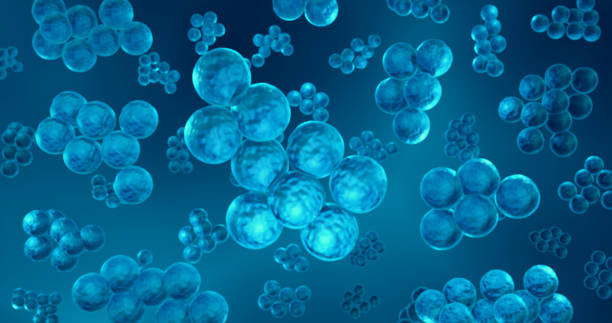 항생제 내성 포도상 구균 박테리아 세포의 3d 렌더링 - staphylococcus aureus 뉴스 사진 이미지