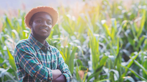 istock African Farmer with hat stand in the corn plantation field 1324842447