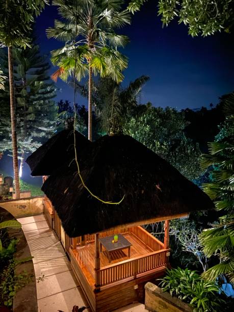 istock Night Ubud. Bali. Indonesia. Villa. Jungle 1324843762
