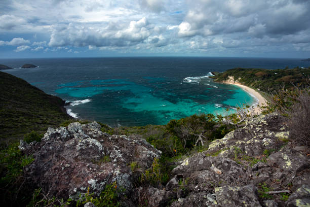 istock Ned's Beach at Lord Howe Island 1324844620