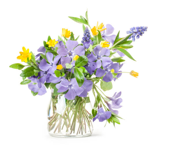 Bunch of beautiful spring flowers in a bucket on a bokeh background