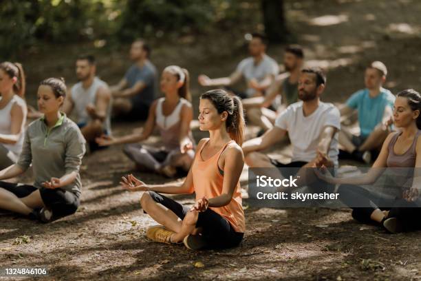 Large Group Of Athletes Meditating On Yoga Class In Nature Stock Photo - Download Image Now