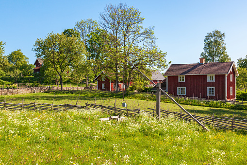 Characteristic landscape in southern Sweden with blood-red farm