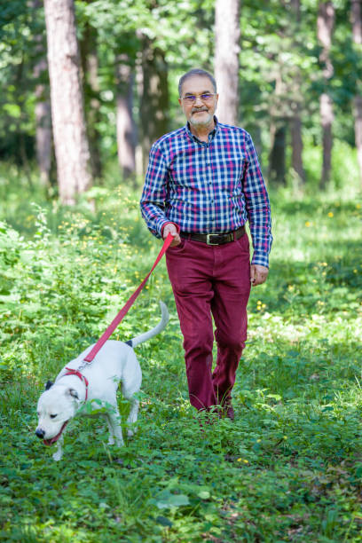 istock Elderly Man is Walking a White Pitbull Terrier Dog in the Park 1324851429