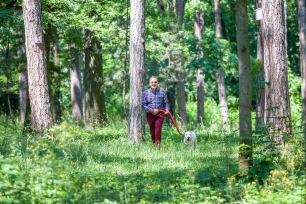 istock Elderly Man is Walking a White Pitbull Terrier Dog in the Park 1324851453
