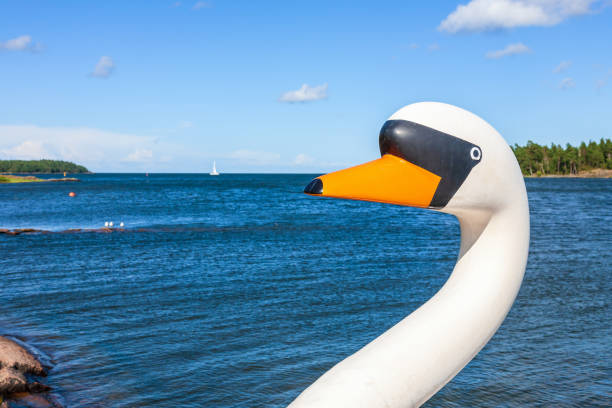 Lake view and a head on a Swan paddle boat