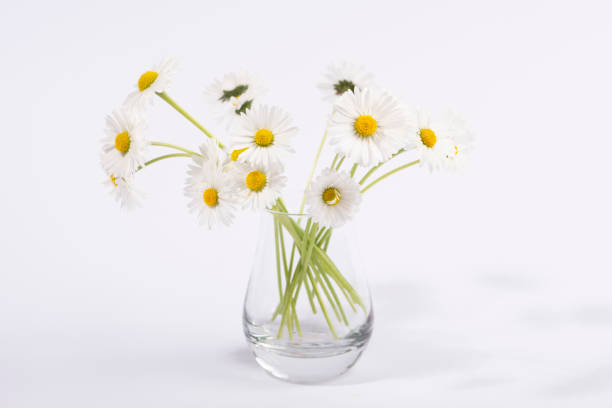 istock Small daisy flowers in glass vase isolated on white background. 1324851769
