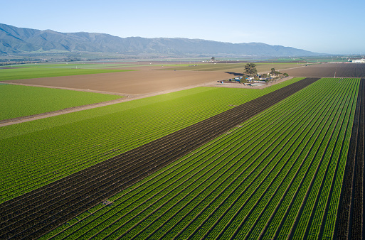 Aerial view of agricultural fields in California, United States. Salinas valley