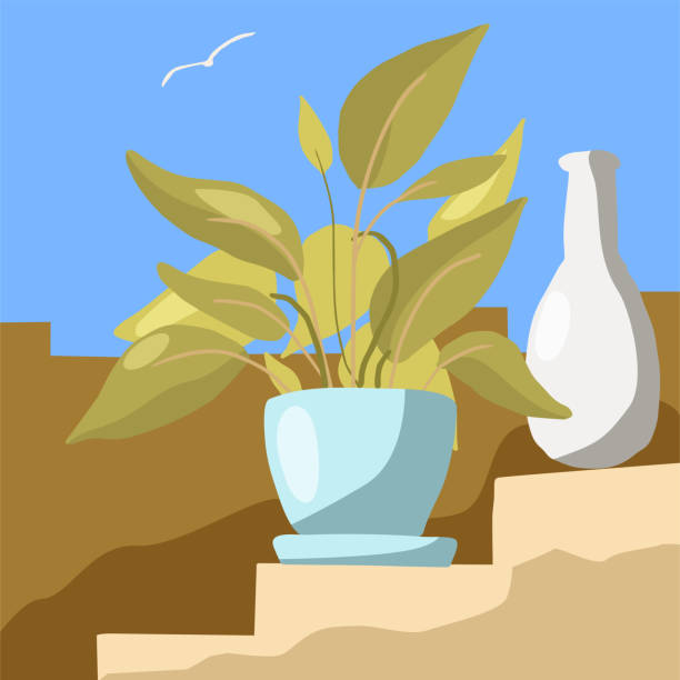 古代の階段に鉢植えの植物と白い花瓶、夏の晴れた日。 - sunny day sunlight seagull点のイラスト素材／クリップアート素材／マンガ素材／アイコン素材