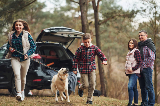 hermana y hermano corren hacia adelante. feliz familia divirtiéndose con su perro cerca del coche moderno al aire libre en el bosque - dog car travel pets fotografías e imágenes de stock