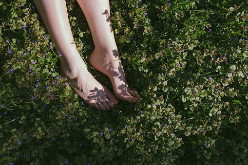 Top view of woman's legs in a wild melissa grass, selective focus
