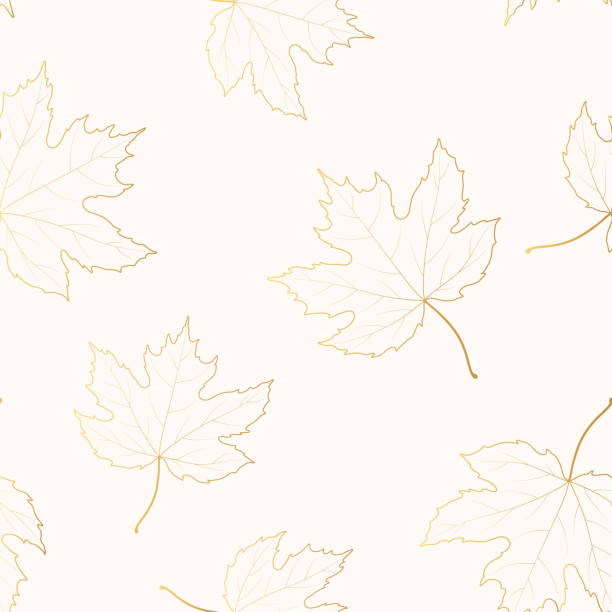 illustrazioni stock, clip art, cartoni animati e icone di tendenza di motivo senza cuciture dorato con foglie d'acero. sfondo isolato vettoriale con contorni foglia caduti. texture oro per carta tessile o da imballaggio. - maple tree autumn textured leaf