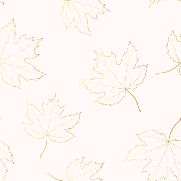 ilustrações de stock, clip art, desenhos animados e ícones de golden seamless pattern with maple leaves. vector isolated background with fallen leaf outlines. gold texture for textile or wrapping paper. - leaf paper autumn textured