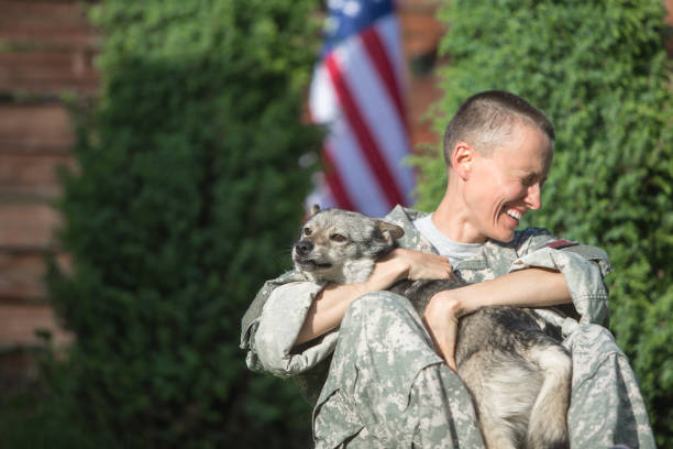 istock Soldier with military dog outdoors on a sunny day 1324860317