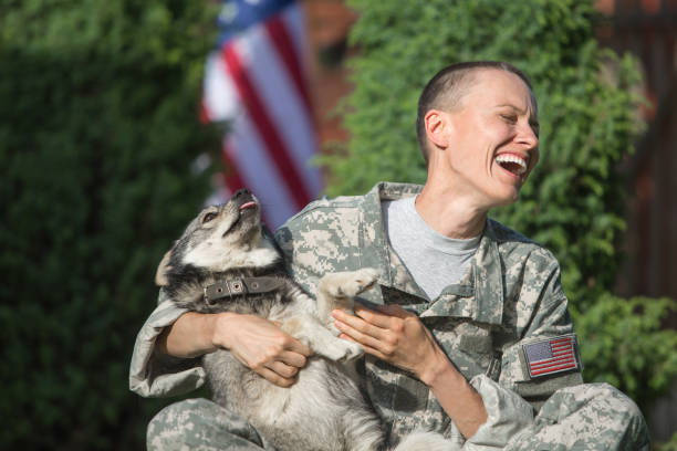 istock Soldier with military dog outdoors on a sunny day 1324860476