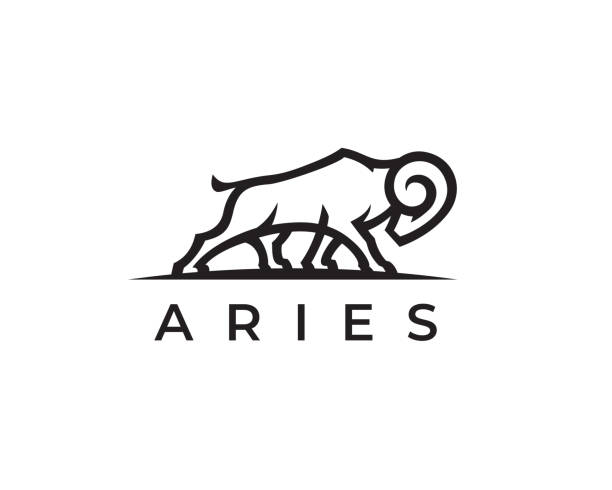 Aries ram line icon Aries logo concept. Zodiac ram line icon. Goat symbol. Horned animal sign. Vector illustration. ram stock illustrations