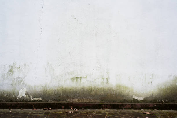 istock Old white wall with traces of mold on the facade 1324865671