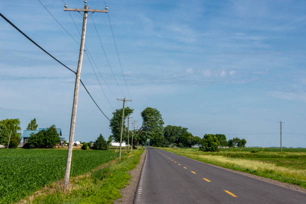 istock Power line running through the top of a tree 1324866361