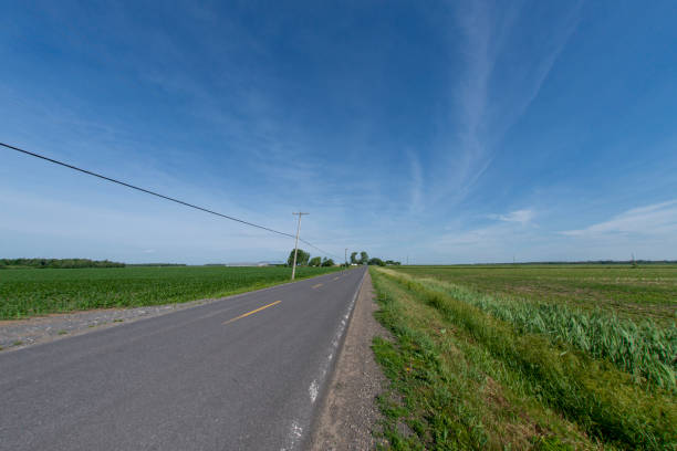 istock Road that crosses a rural area 1324866494