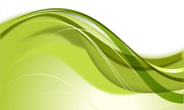 Light green wavy vector abstract background illustration with curved lines and gradient Light green wavy vector abstract background illustration with curved lines and gradient for use for template, slide, zoom call, video call, banner, cover, poster, wallpaper, digital presentations, slideshows, Powerpoint, websites, videos, design with space for text. Created in Adobe illustrator. virtual background stock illustrations