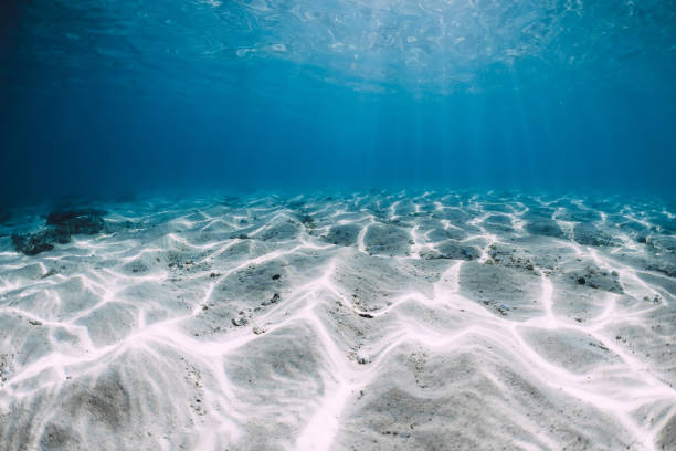 istock Transparent blue ocean with white sand underwater in Australia 1324867002