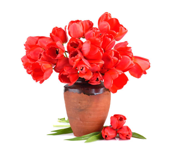 istock Bouquet of red tulips 1324869355