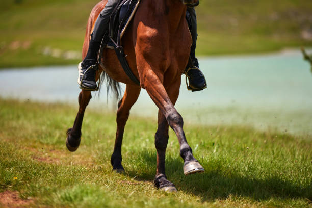 istock Enjoying horseback riding by the lake 1324873453