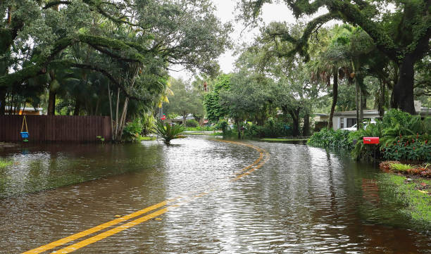 Flooded neighborhood streets in Fort Lauderdale, Florida, USA. Fort Lauderdale street floods with rain water from Tropical Storm Eta. florida usa stock pictures, royalty-free photos & images