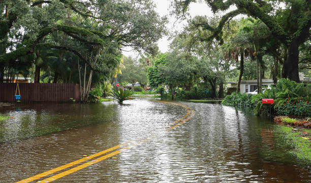 flooded neighborhood streets in fort lauderdale, florida, usa. - flood hurricane road damaged imagens e fotografias de stock