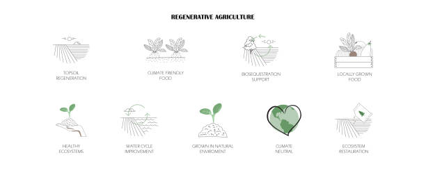 icons of sustainable regenerative  agriculture. concept of climate neutral food farming, support of natural ecosystem. infographic of soil regeneration, biodiversity, water cycle, renewable gardening. concept of climate neutral food farming, support of natural ecosystem. infographic of soil regeneration, biodiversity, water cycle, renewable gardening. agroforestry stock illustrations