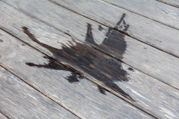 istock Spilled water on the wooden floor 1324875319