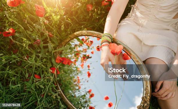 Mirror Reflection Of Sky Red Poppies And Woman Hand Holding Flower Stock Photo - Download Image Now
