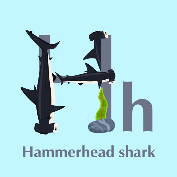 Sea Animals Alphabet Abc For Children Letter H Stock Illustration -  Download Image Now - Alphabet, Animal, Animals In The Wild - iStock