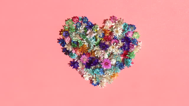 Heart shape from multicolored beautiful flowers on pink background