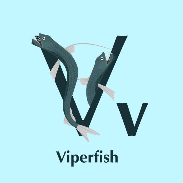 Sea animals alphabet. ABC for children. Letter V. Sea animals alphabet. ABC for children. Letter V. Viperfish. Kids training manual in a colourful cartoon style. Training tool for little kids. Learning to read in a funny way. Vector illustration viperfish stock illustrations