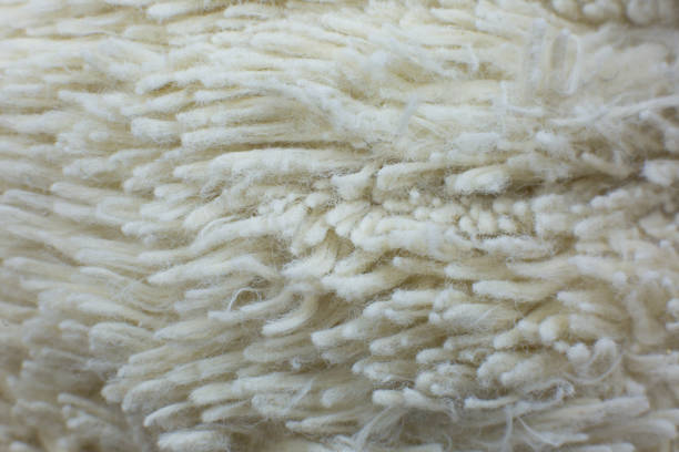 istock White cotton towel or carpet fluffy texture background. Close up, macro photo. Soft focus image. 1324888554