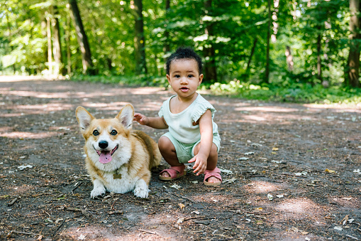 carefree summer day: Happy Baby girl and small dog have fun together in nature